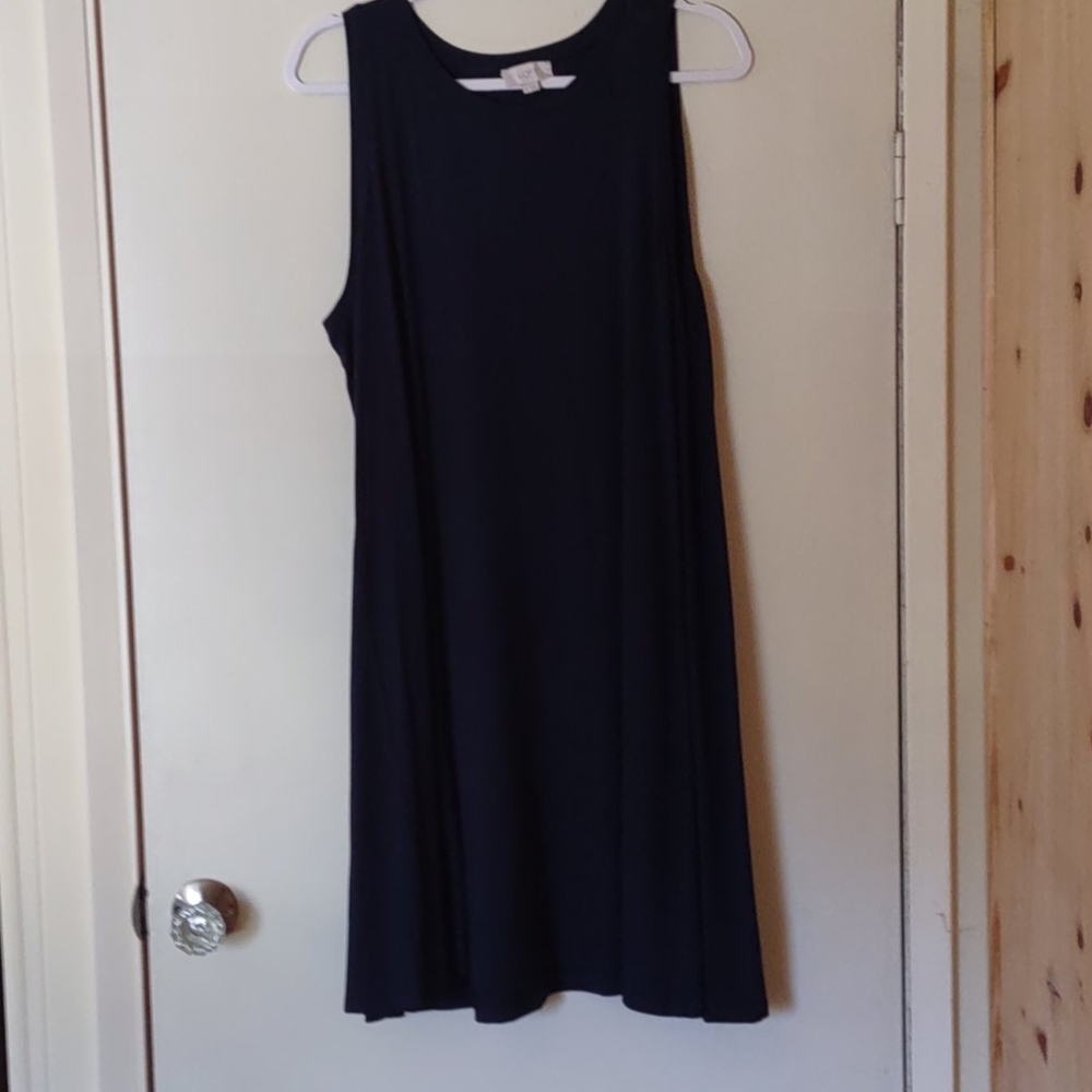 Loft Outlet Dress